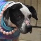 20 Maybelle